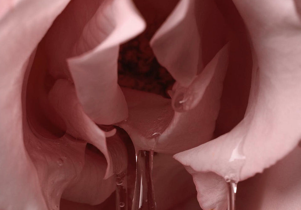 Clitoral vs G-spot Stimulation: How to Find Your Sensitive Spots