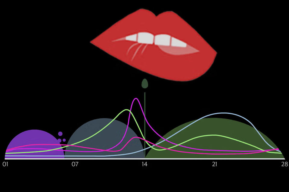 Menstrual Cycle and Libido: How Female Sexual Desire Changes Throughout the Month