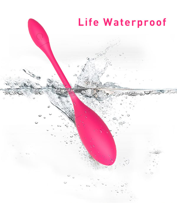 Mignon Best Electric Shock Vibrating Eggs Love Eggs