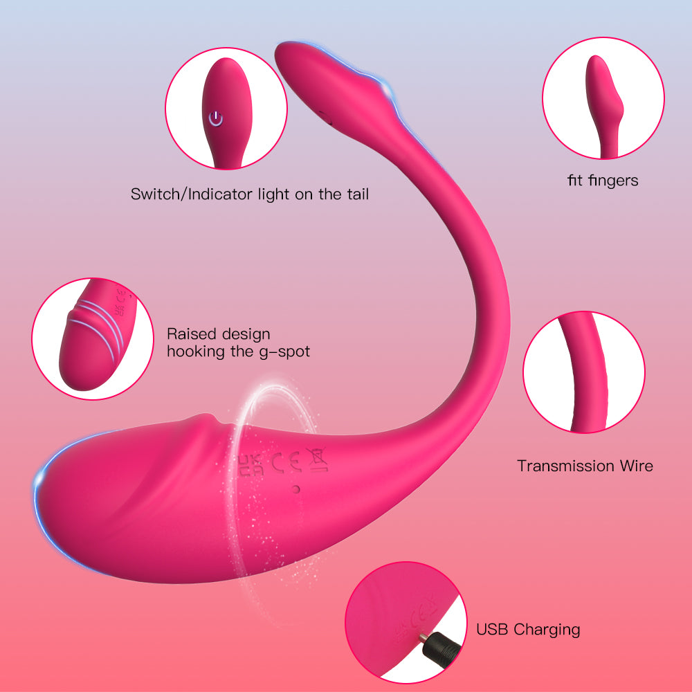 Ferdi Swan Vibrating Love Egg APP control-9 Vibration Frequency